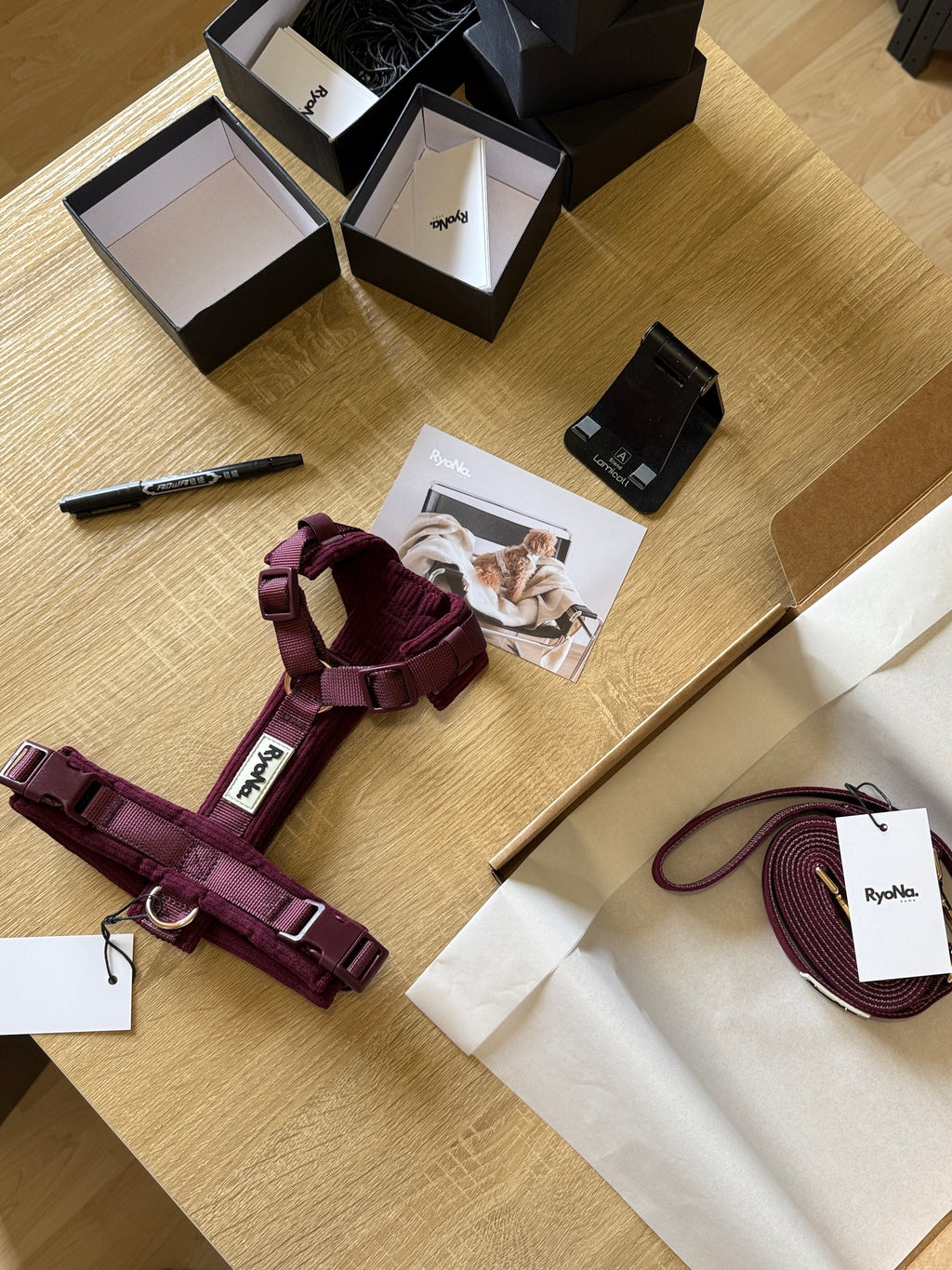 HARNAIS EN Y - BORDEAUX