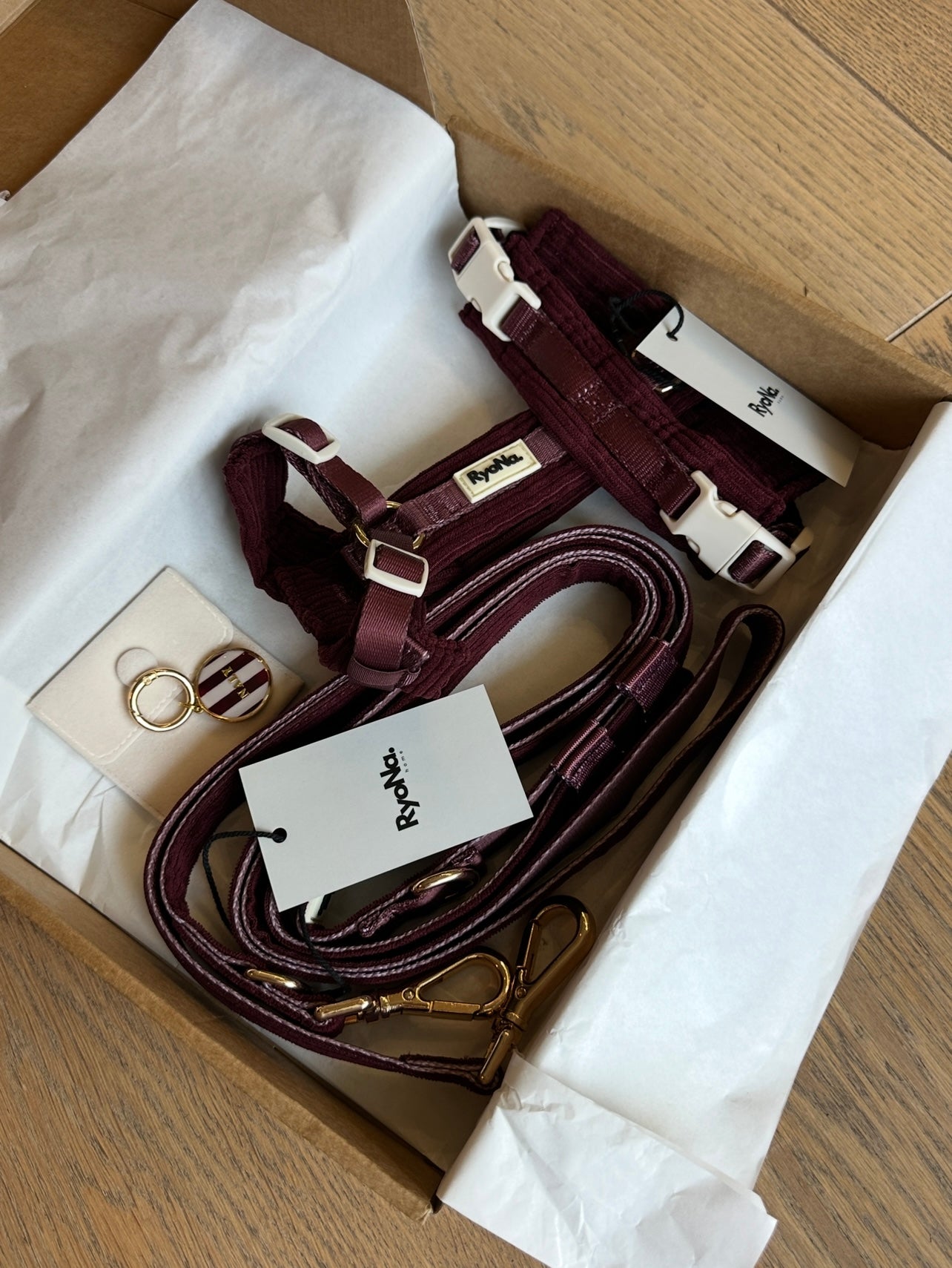 Harnais | Velours Côtelé Confort & Design en Y