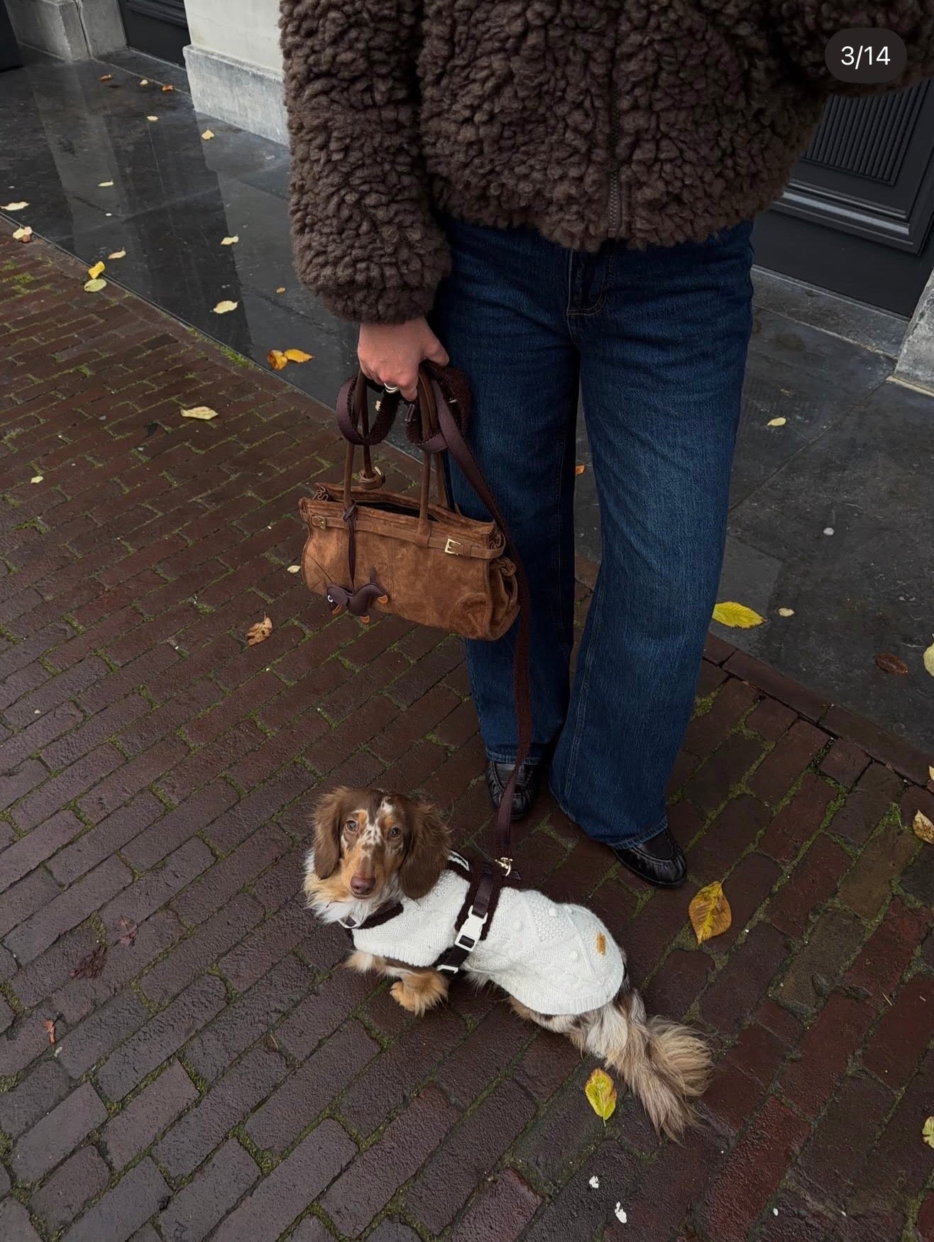 Harnais - Bouclé Confort & Design en H