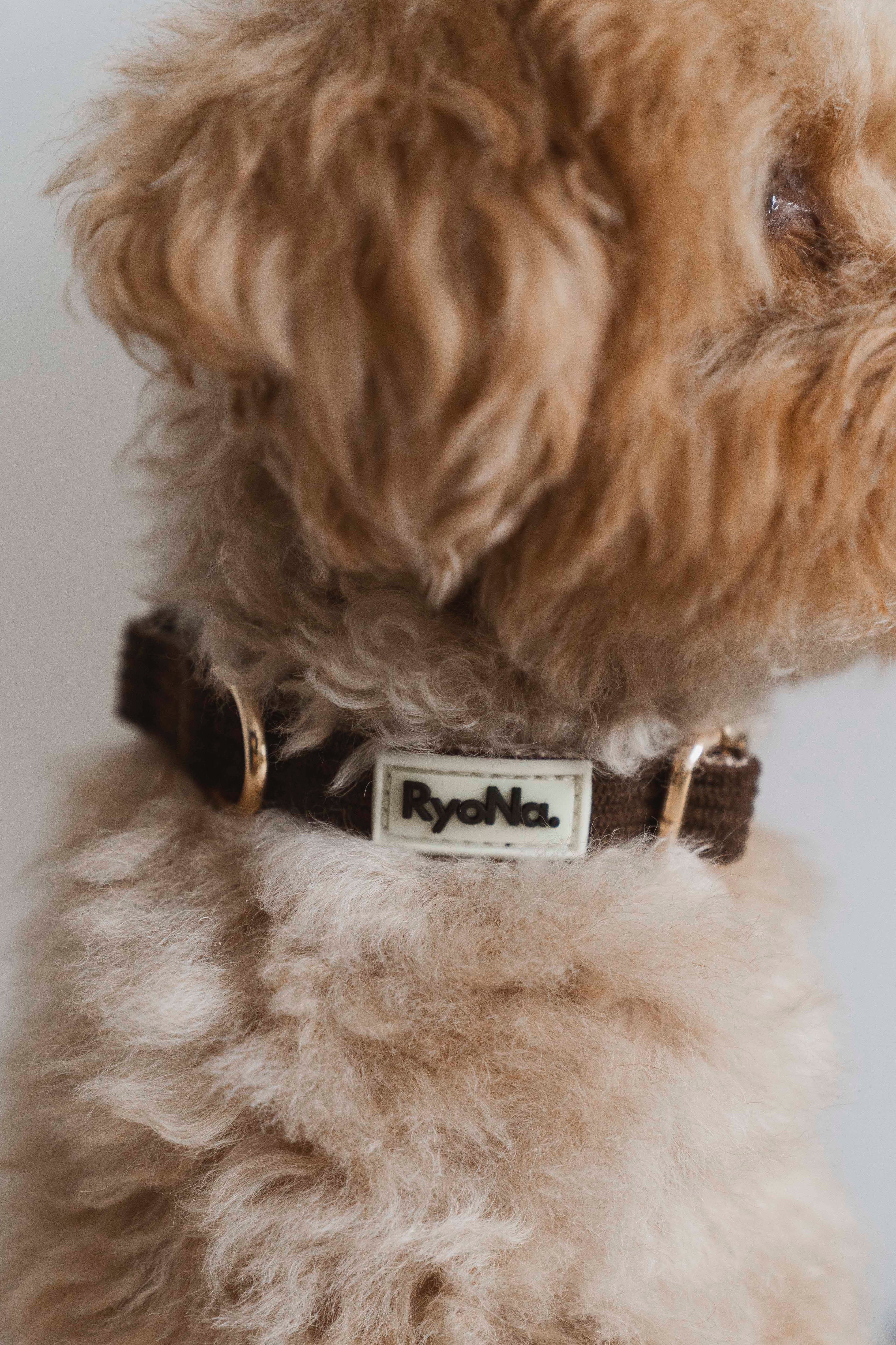 COLLIER - Velours Côtelé