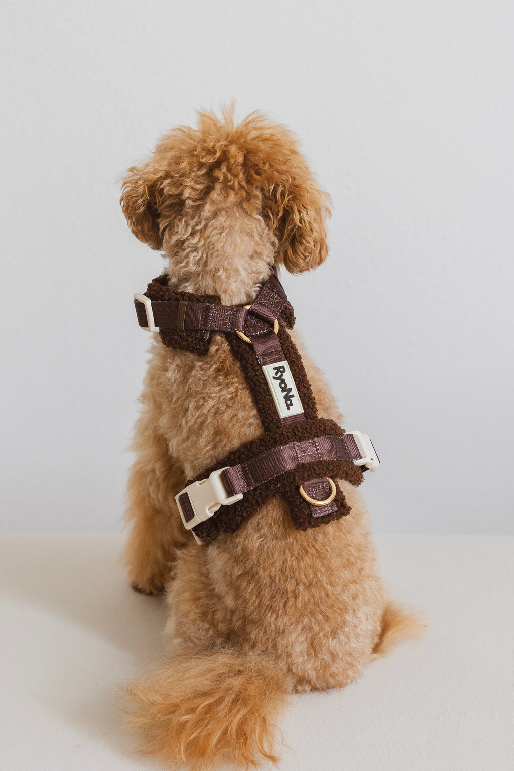 Harnais | Bouclé Confort & Design en H
