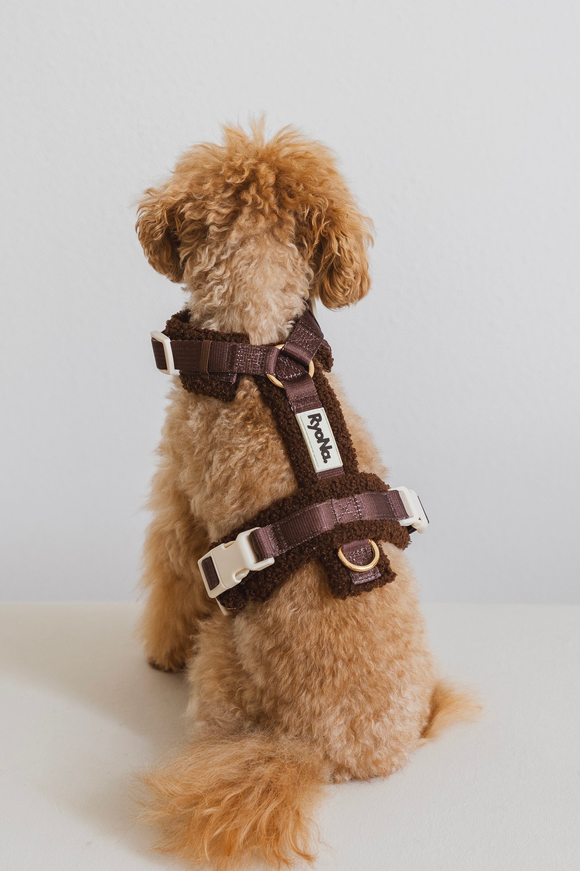 Harnais | Bouclé Confort & Design en H