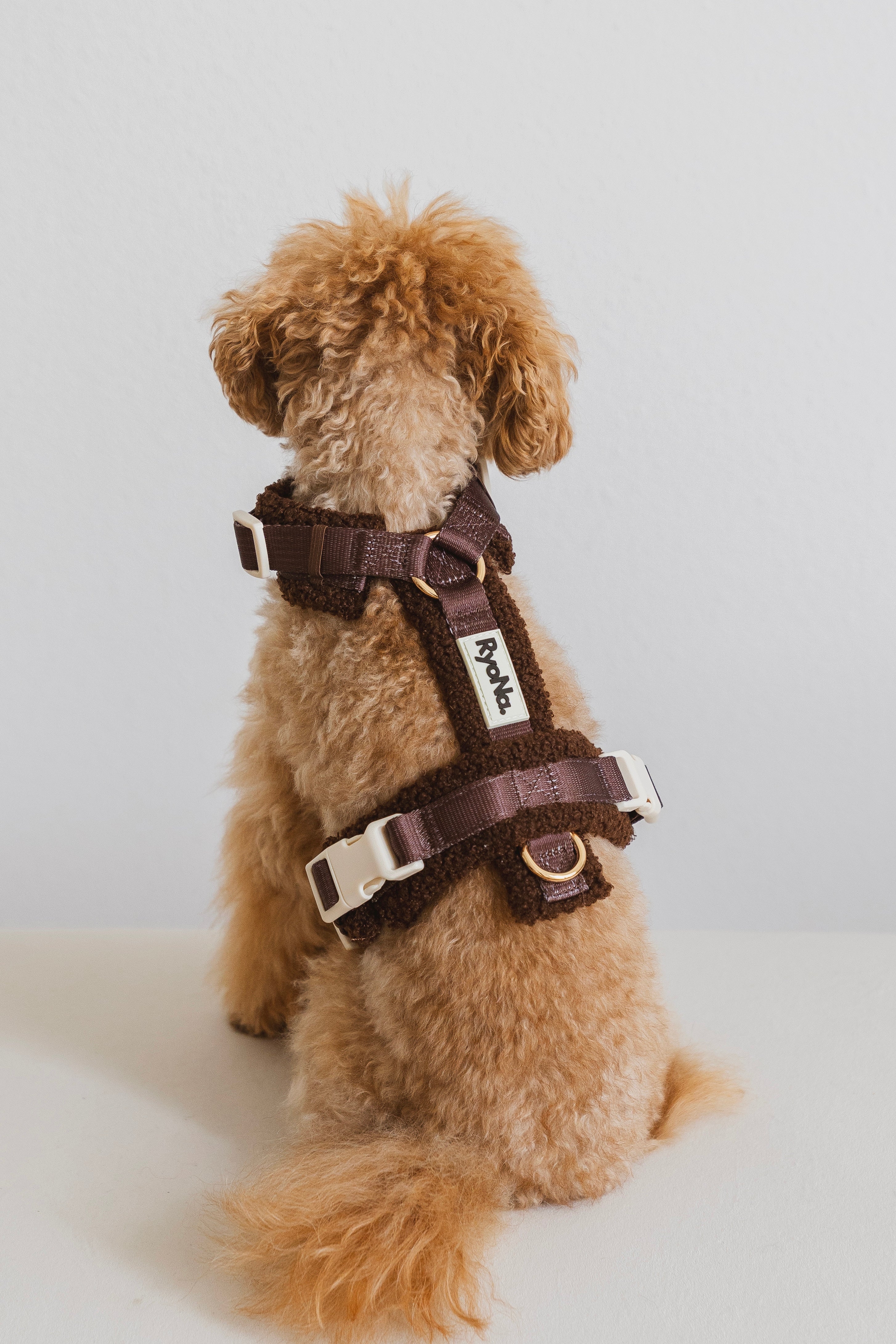 Harnais - Bouclé Confort & Design en H