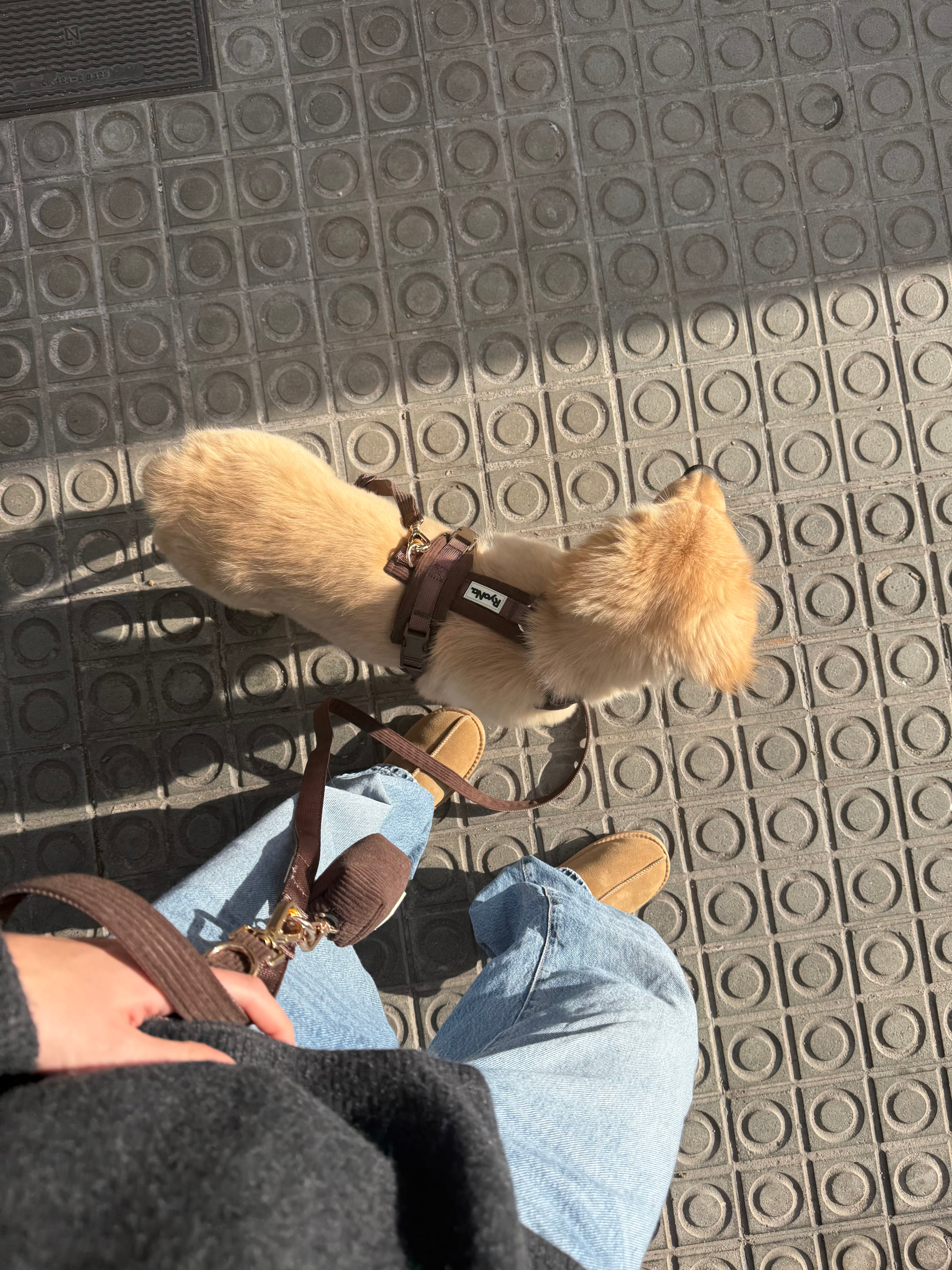 Harnais - Velours Côtelé Confort & Design en Y