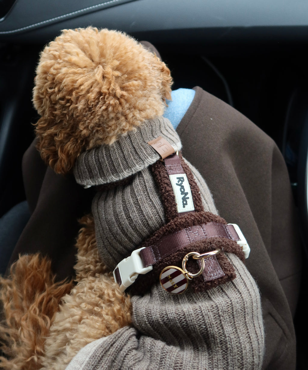 Harnais | Bouclé Confort & Design en H