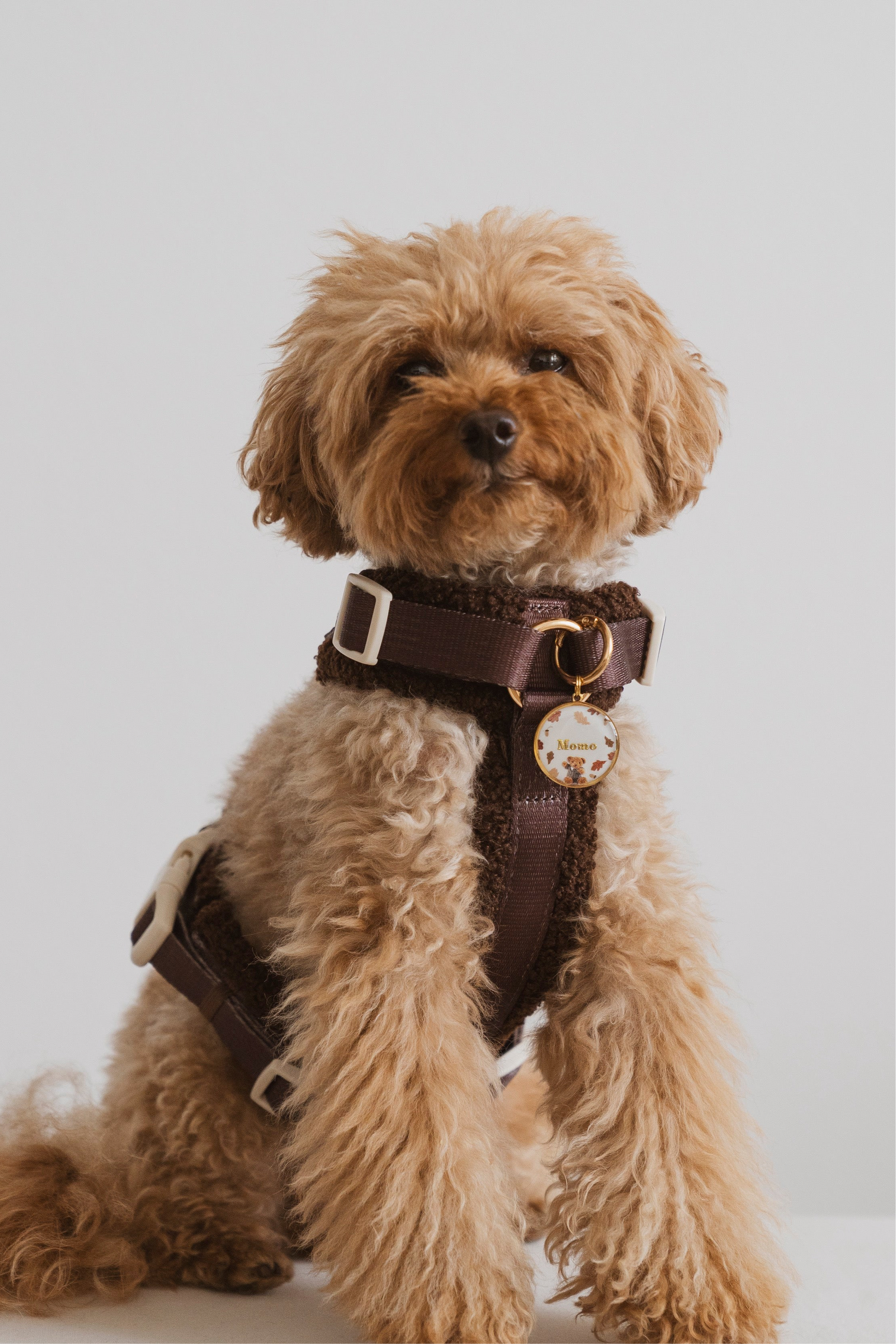 ZAZOU | MÉDAILLE