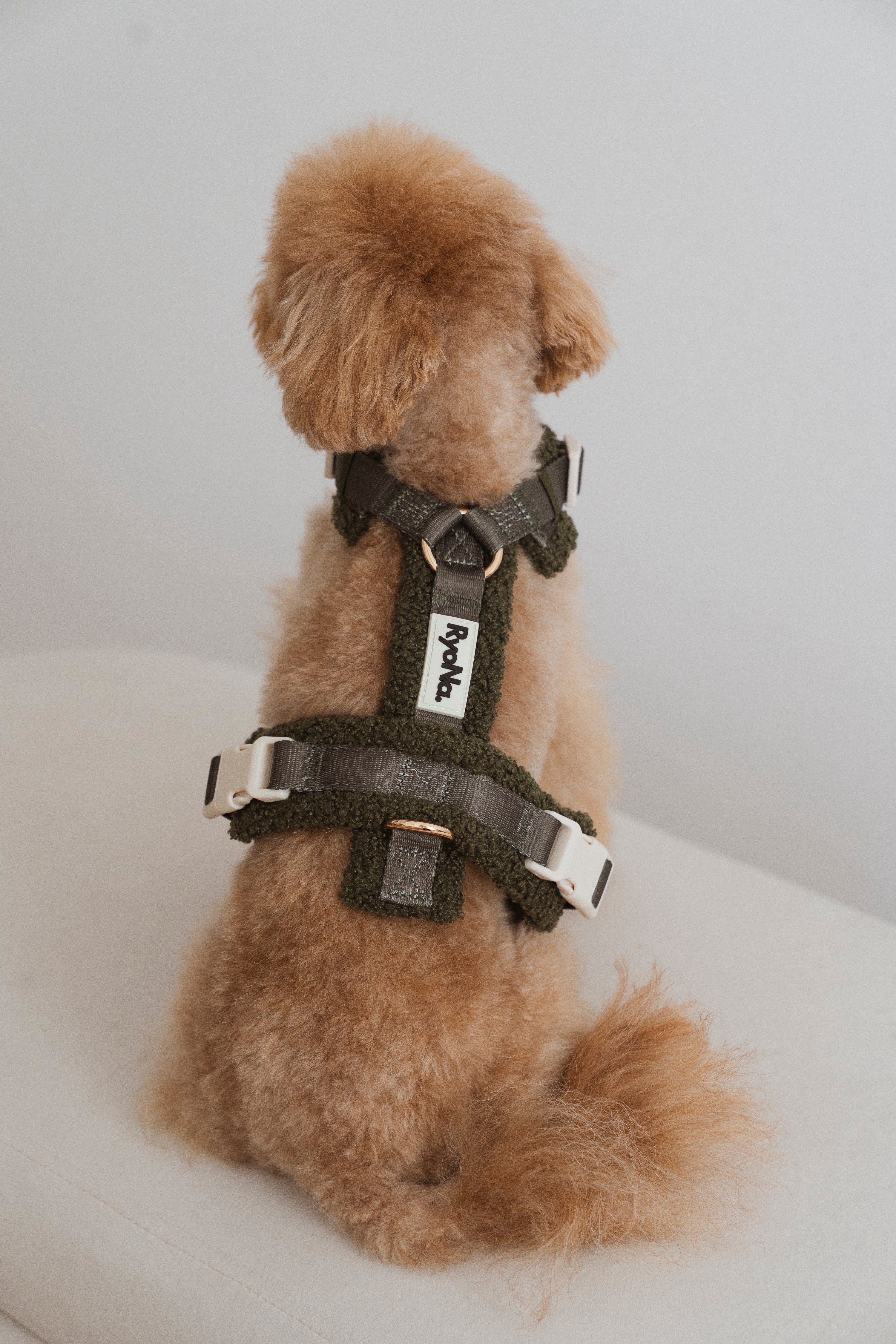 Harnais - Bouclé Confort & Design en H