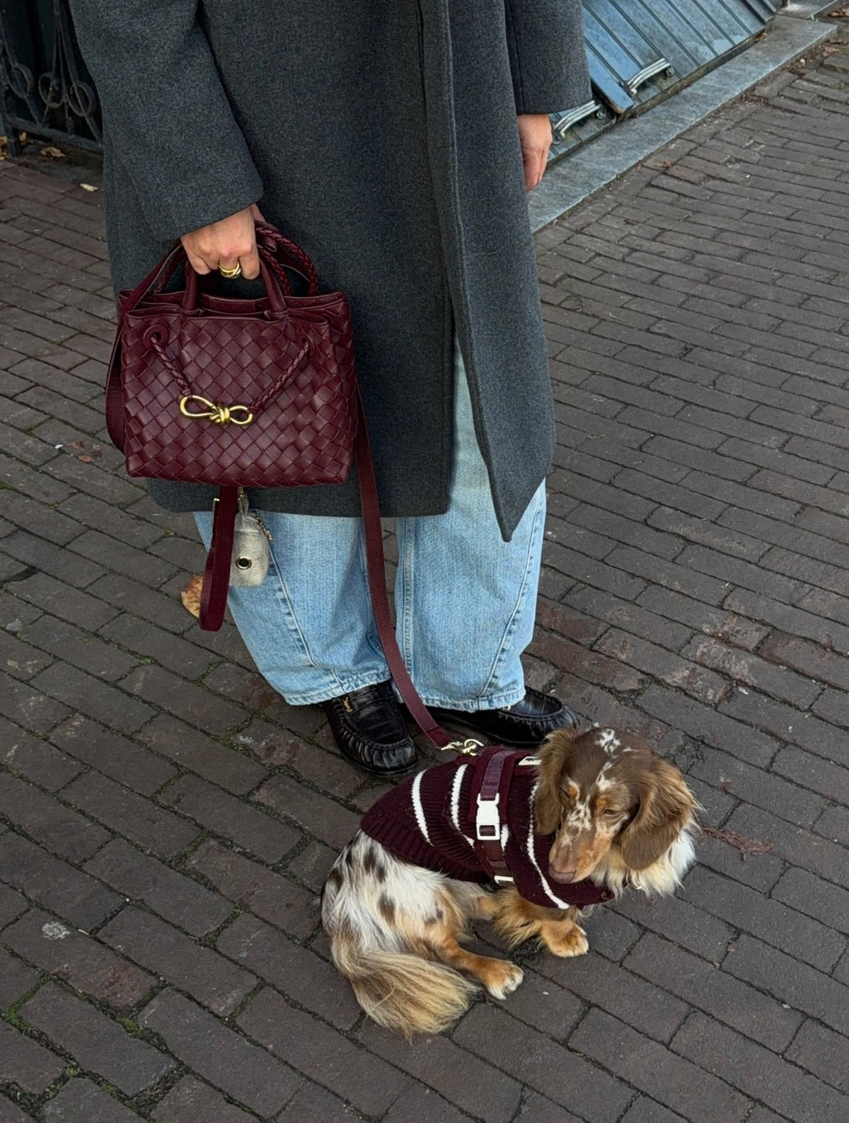 Harnais | Velours Côtelé Confort & Design en Y