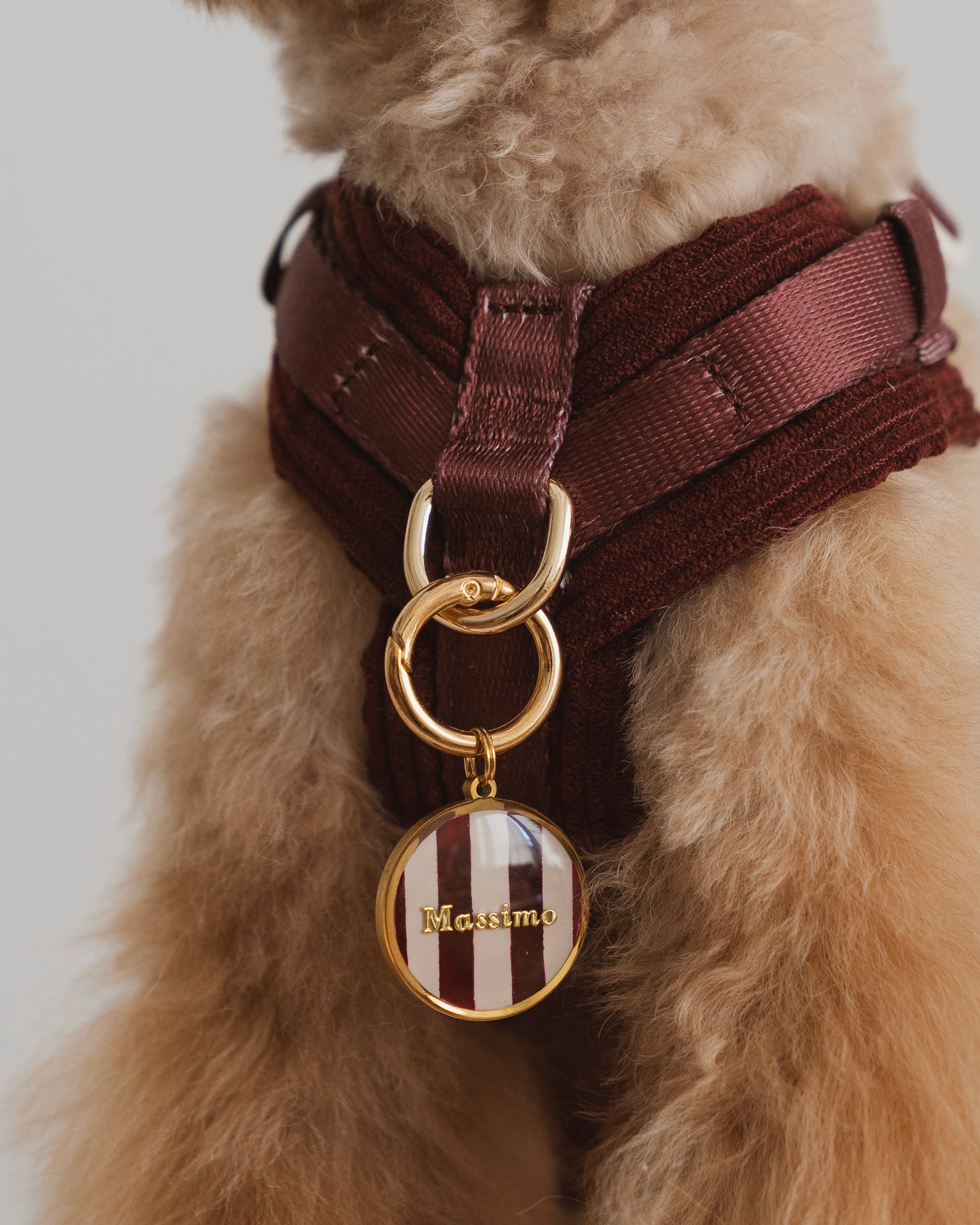 RAYURES | Médaille