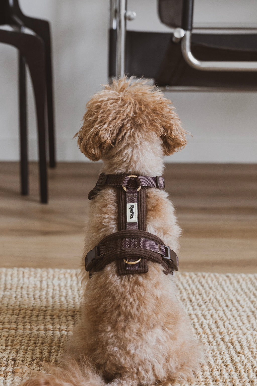 Harnais | Velours Côtelé Confort & Design en Y