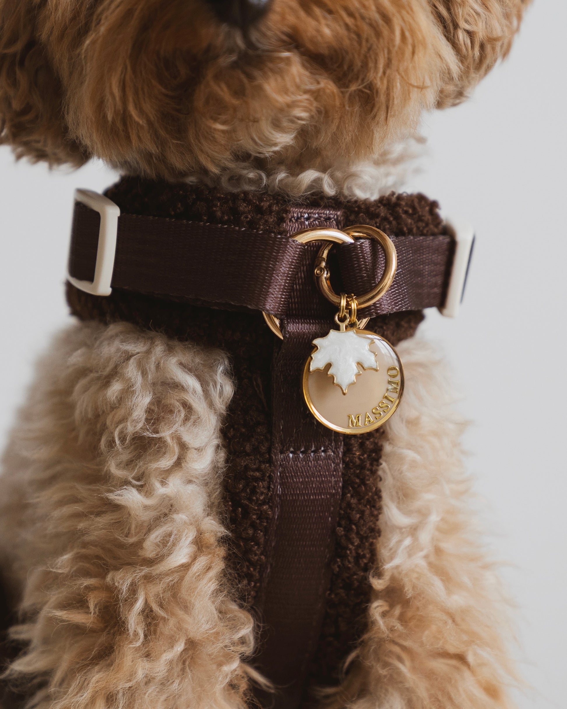 MAPLE | Médaille