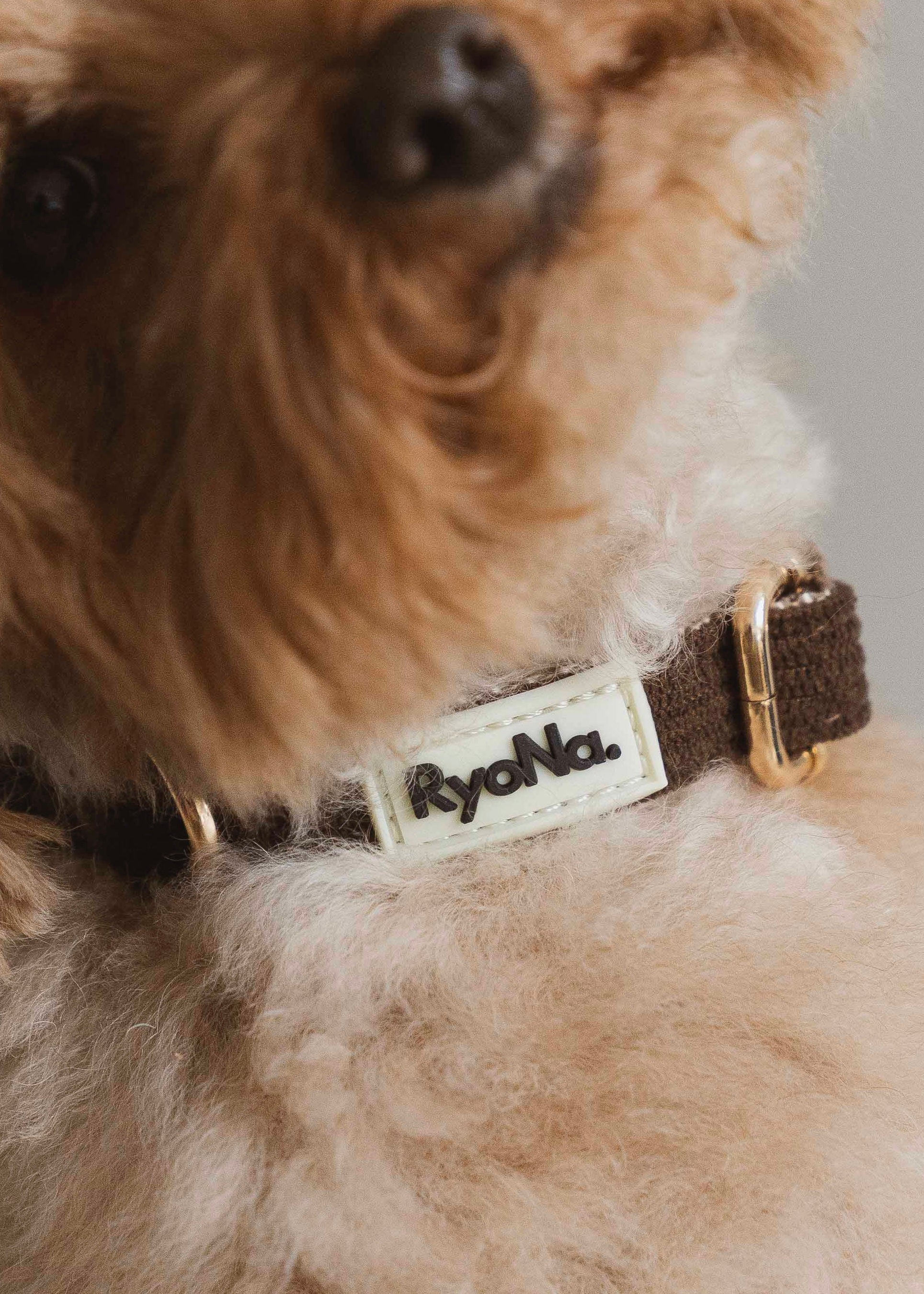 COLLIER - Velours Côtelé