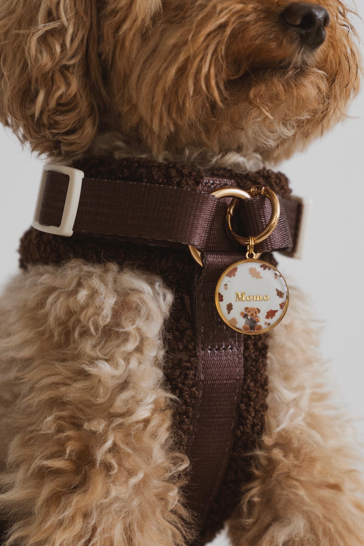 ZAZOU | MÉDAILLE