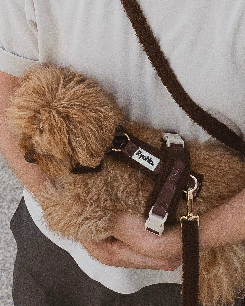 Harnais | Bouclé Confort & Design en H