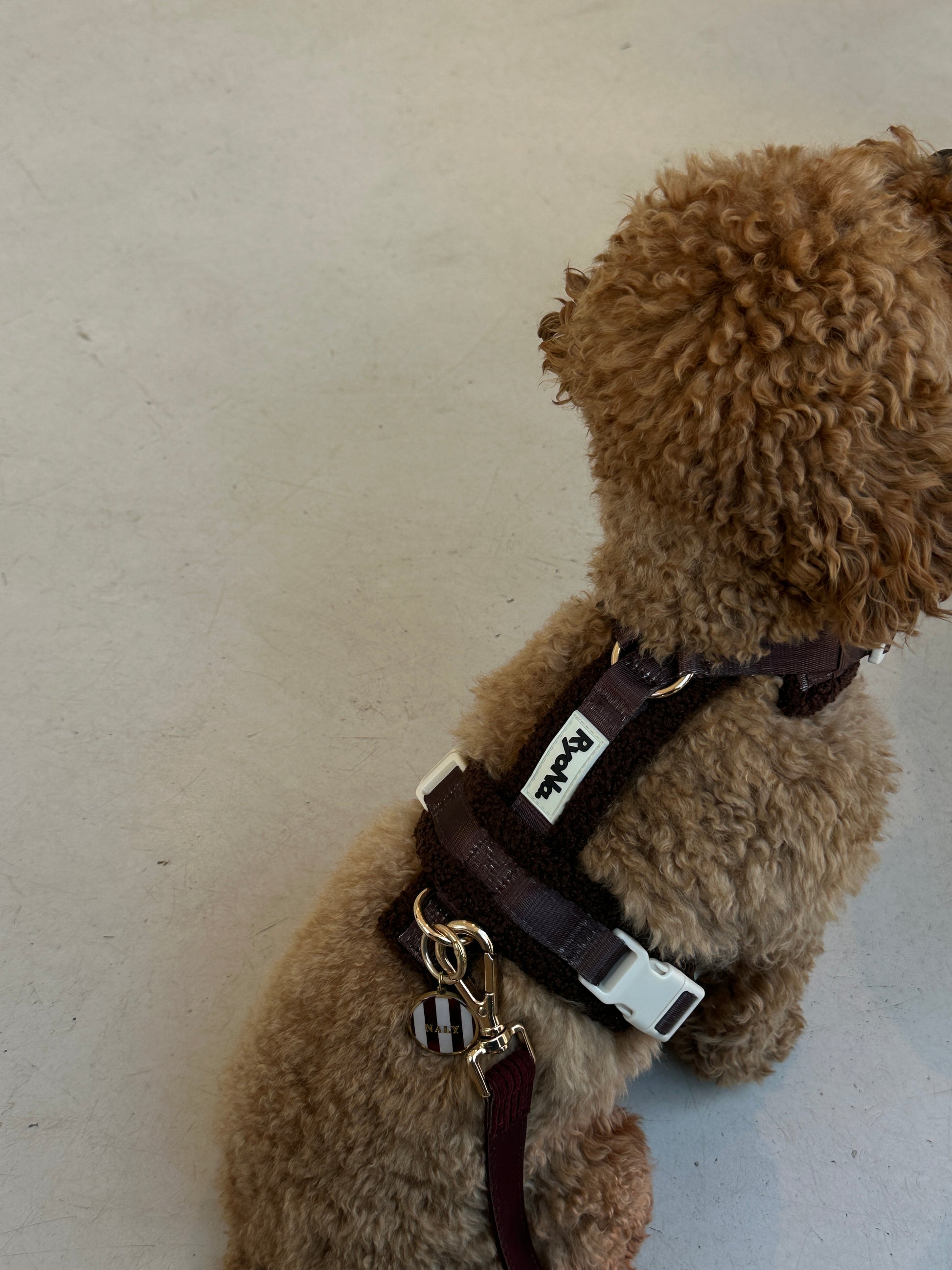 Harnais | Bouclé Confort & Design en H