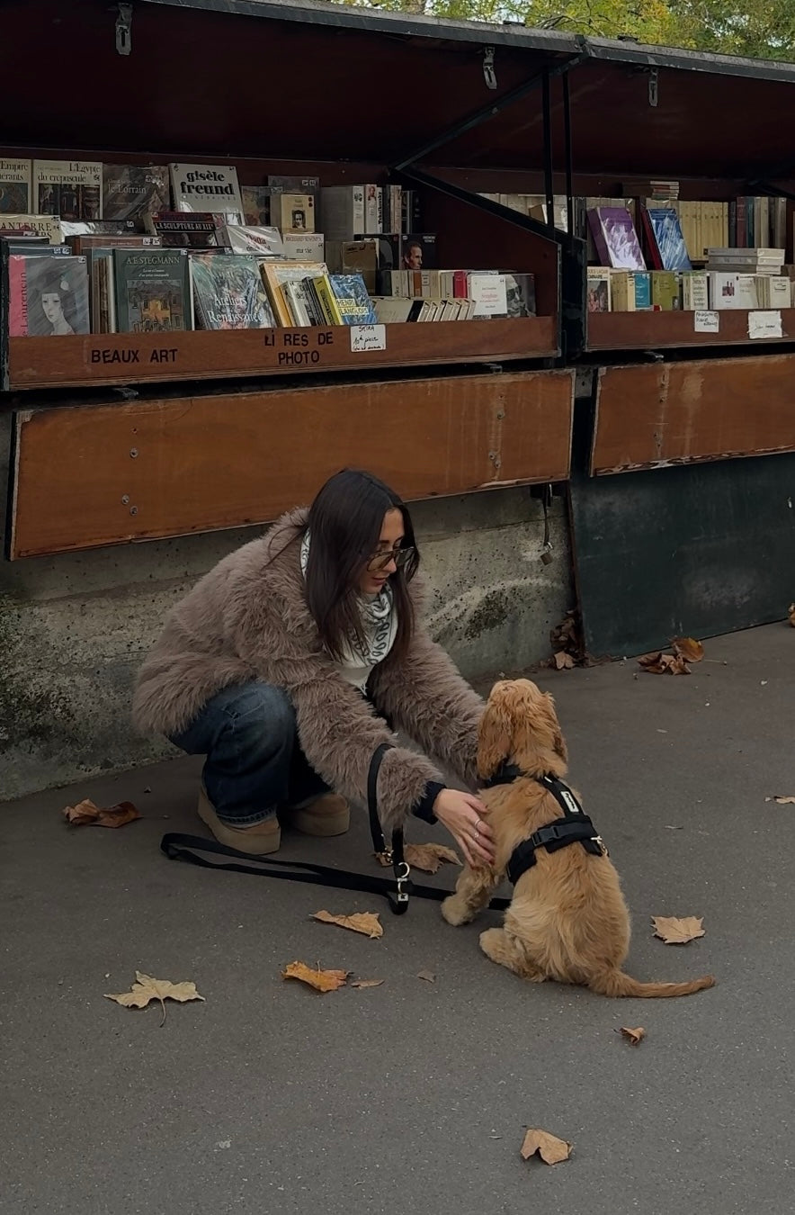 Harnais | Velours Côtelé Confort & Design en Y